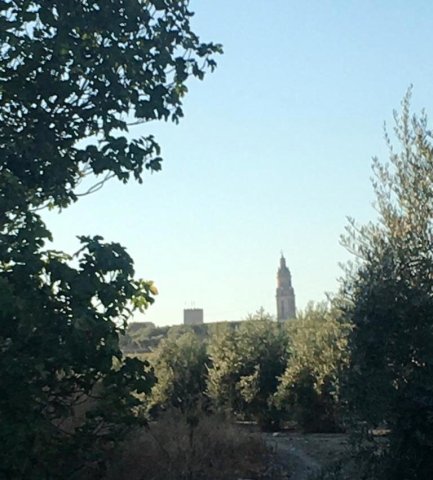 Vista paisajista (3)